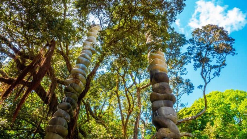 Hidden Auckland Small-Group Walking Tour - Final Thoughts: Who Should Book This Tour?