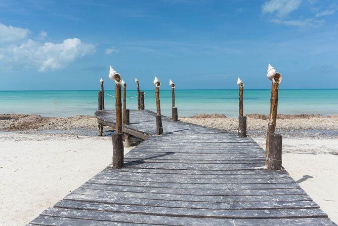 Hidden Beauty at Holbox Island Tour! From Cancun & Riviera Maya - What Travelers Say