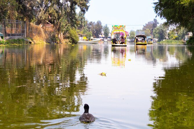 Hidden Canals of Tláhuac: A Peaceful Alternative to Xochimilco - A Closer Look at the Experience