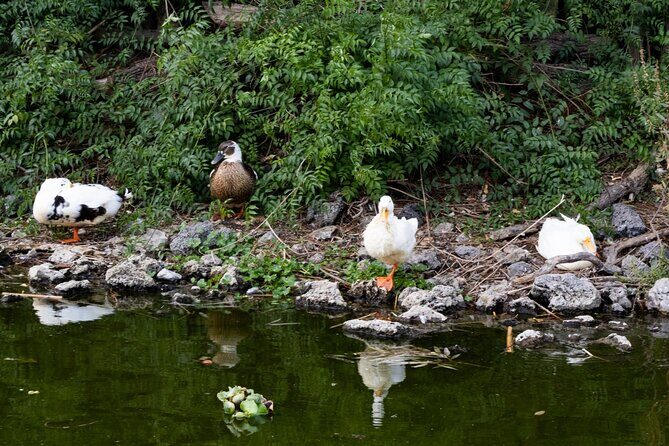 Hidden Canals of Tláhuac: A Peaceful Alternative to Xochimilco - The Sum Up