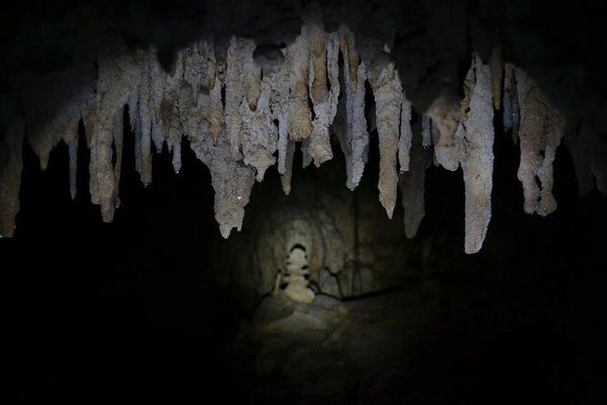 Hidden Cenote exploration in Playa del Carmen - Frequently Asked Questions