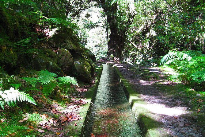 Hidden Corners: Levada Walk from Funchal - An In-depth Look at the Hidden Corners Levada Walk