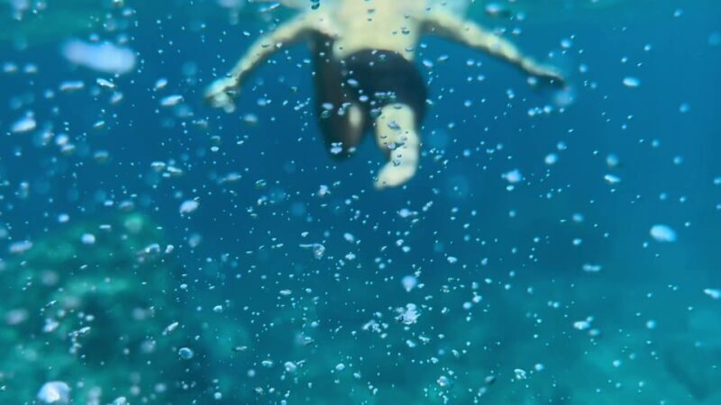 Hidden Coves, Hiking & Snorkeling Adventure in Mallorca - Practical Tips for Participants