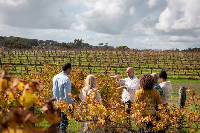 Hidden Gems: Boutique Full-Day Wine, Farm & Lunch Tour - Key Points