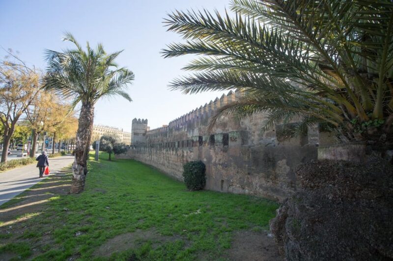 Hidden Gems in Seville in English - Exploring Seville’s Hidden Gems: A Practical Guide to the 1.5-Hour Walking Tour