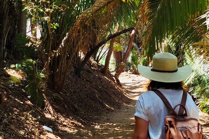 Hidden Gems of Nayarit: A Private Coastal Escape - A Deep Dive into the Experience