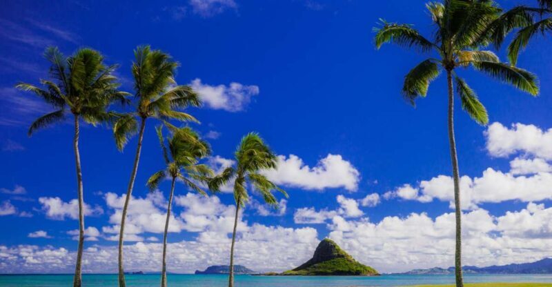 Hidden Gems of Oahu Circle Island Tour with Byodo-In Temple - Key Points