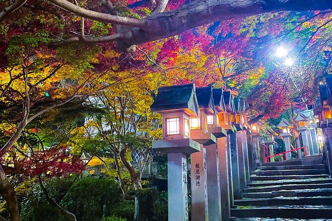 Hidden Gems of Osaka Kyoto Nara - Private Car Tour by Local Guide - Why We Think This Tour Works Well