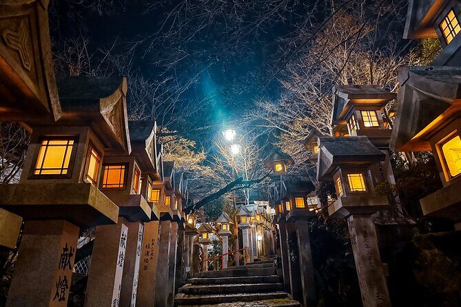 Hidden Gems of Osaka Kyoto Nara - Private Car Tour by Local Guide - Who Would Love This Tour?