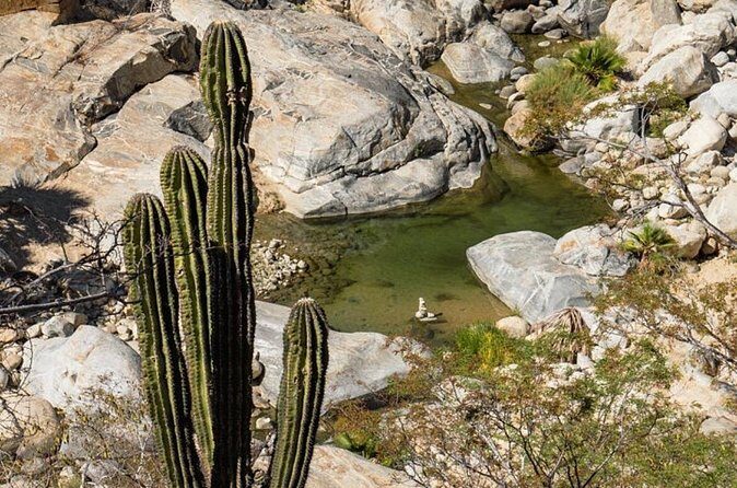 Hidden Gems of Sierra Laguna: El Triunfo and Natural Springs. - FAQs