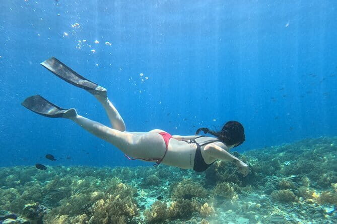 Hidden Gilis: Private Snorkeling Adventure to 5 Secret Islands - Who Is This Tour Perfect For?