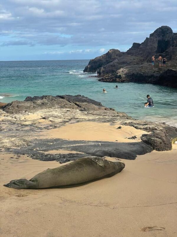 Hidden Hawaii South-East Sunset Adventure with Scenic Hike - Who Will Love This Tour?