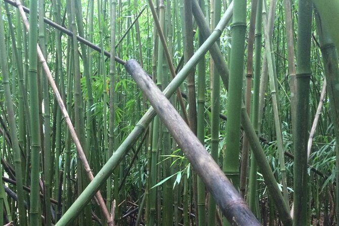 Hidden Hawaii Tours - Final Thoughts: Is It Worth It?