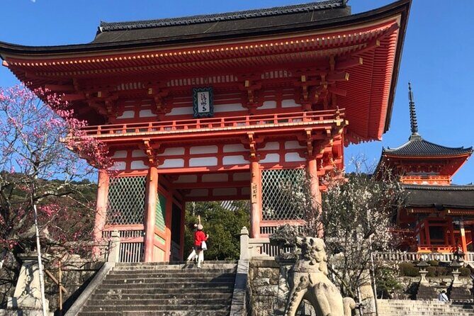 Hidden jem and highlights in kyoto half day private - Authentic Experiences and Local Insights