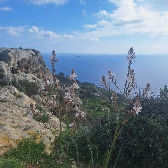 Hidden Malta: From Coastal Wonders to the Silent City - FAQ