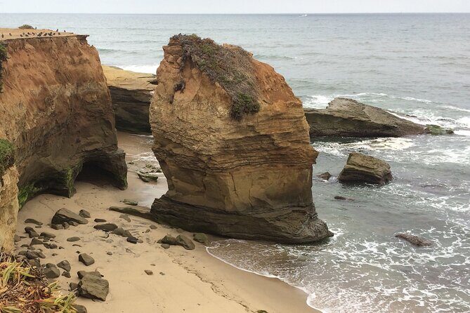 Hidden Nature Walks in the City Private Tour - What Makes This Tour Stand Out?