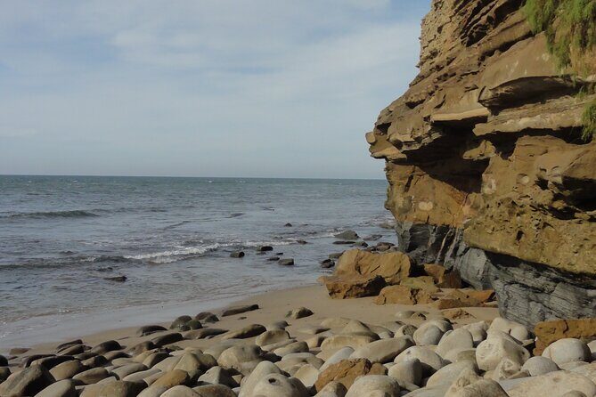 Hidden Nature Walks in the City Private Tour - Is It Worth the Price?