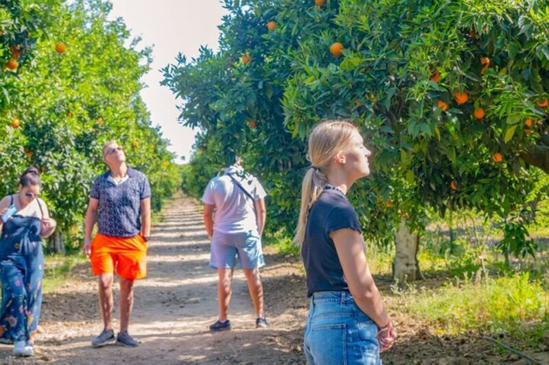 Hidden Paradise Combo Green Lake With Lunch & Boat - The Sum Up: The Bottom Line