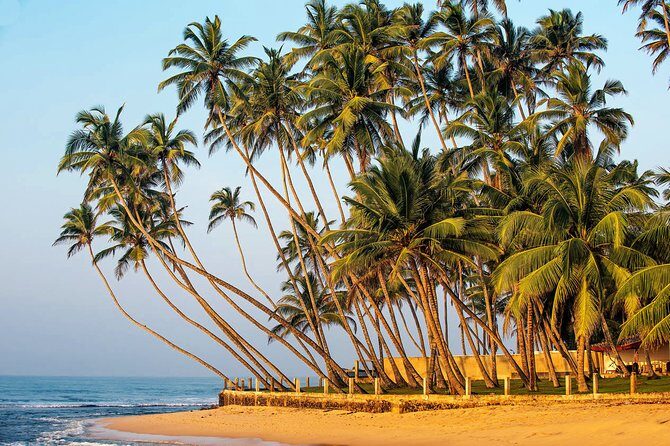 Hidden Temples and Secluded Coastlines Tour from Talpe - Authentic Experiences and Insights from Reviews