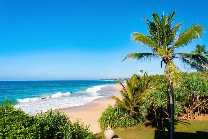 Hidden Temples and Secluded Coastlines Tour from Talpe - Who Is This Tour Best For?