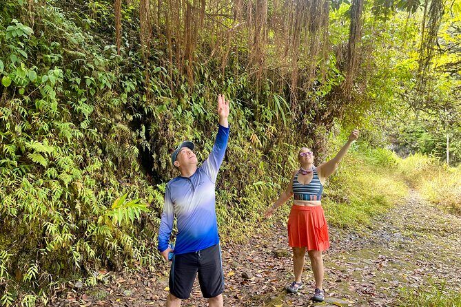 Hidden Waterfall Adventure in Your Rental  Private Tour - Final Thoughts: Is This Tour Right for You?