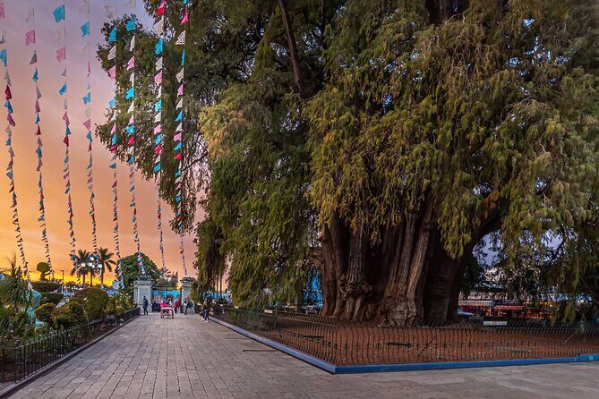 Hierve el Agua Artisanal Route with Mezcal and Oaxacan Food - FAQs