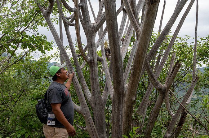 Hierve el Agua Half-Day: Early Access & Personal Guide + Pickup - Value for Money and Whats Included