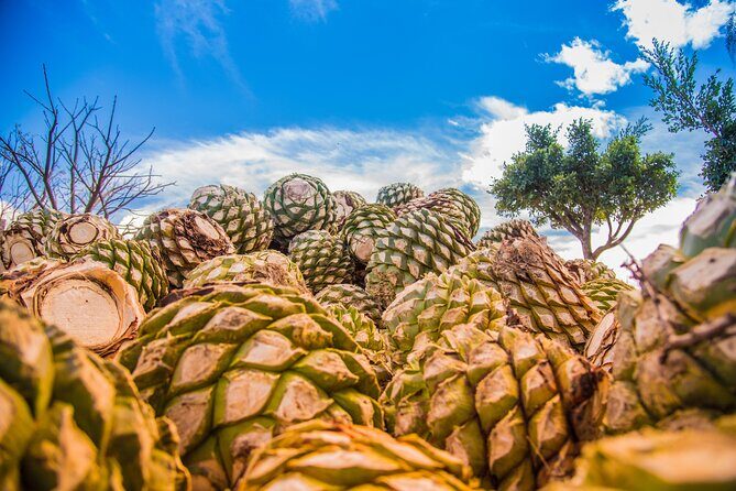 Hierve el Agua, Mitla, Tule, Teotilán and Mezcal factory - FAQ