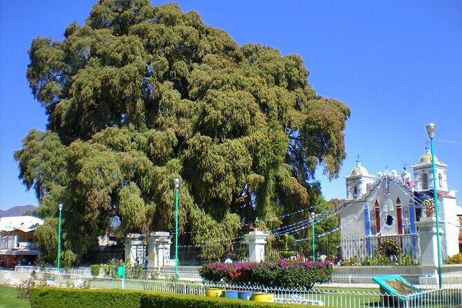 Hierve el Agua, Teotitlán del Valle, mezcal, el tule, desde Oaxaca - In Closing