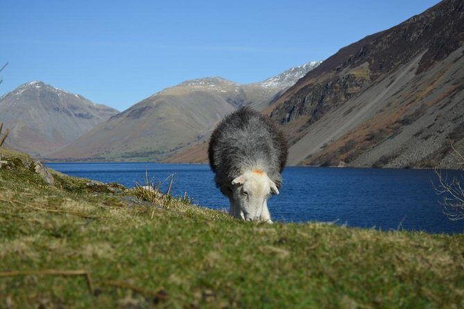 High Adventure: Mountain Passes & Muncaster Castle from Oxenholme - A Deep Dive into the Experience