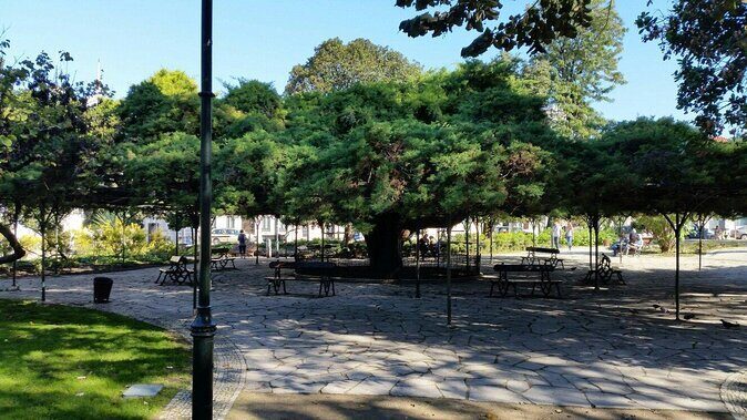 High-End Exclusive Food and Wine Tour Lisbon with a Winemaker - A Closer Look at the Itinerary