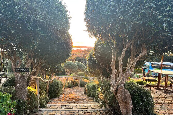 High End Sommelier Tour on Waiheke Island - A Deep Dive into the Experience