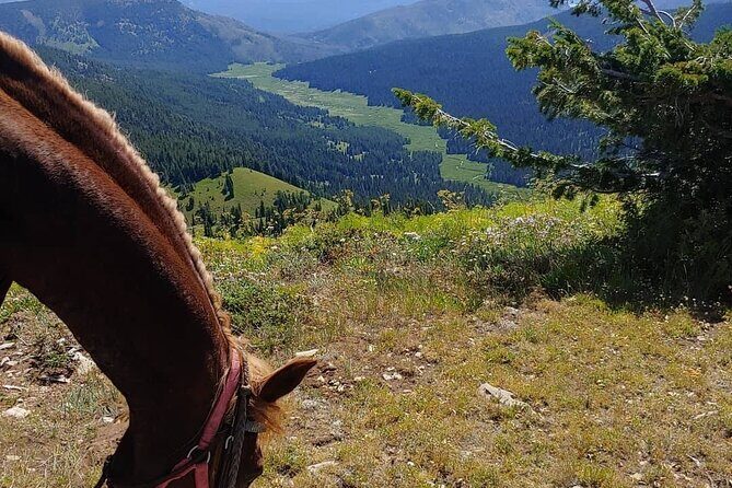 High Mountain scenic trail rides in the Teton Range - Weather and Cancellation