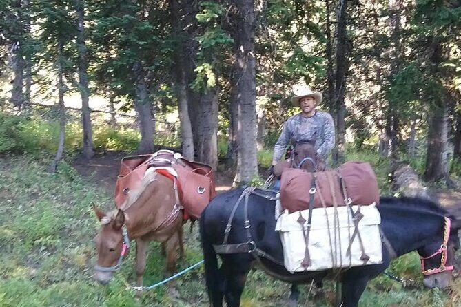 High Mountain scenic trail rides in the Teton Range - Who Will Love This Tour?