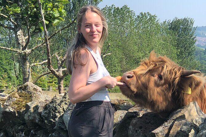 Highland Cows, Walk Alpacas & Scottish Wildlife Centre from Edin. - Who Will Love This Experience?