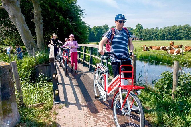 Highlight Bike Tours Haarlem - What to Expect on the Itinerary