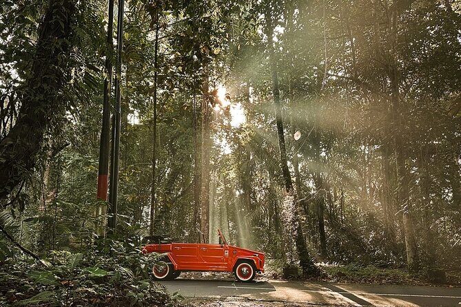 Highlight Ubud Tour in Classic Vintage Volkswagen - Practical Tips for Travelers