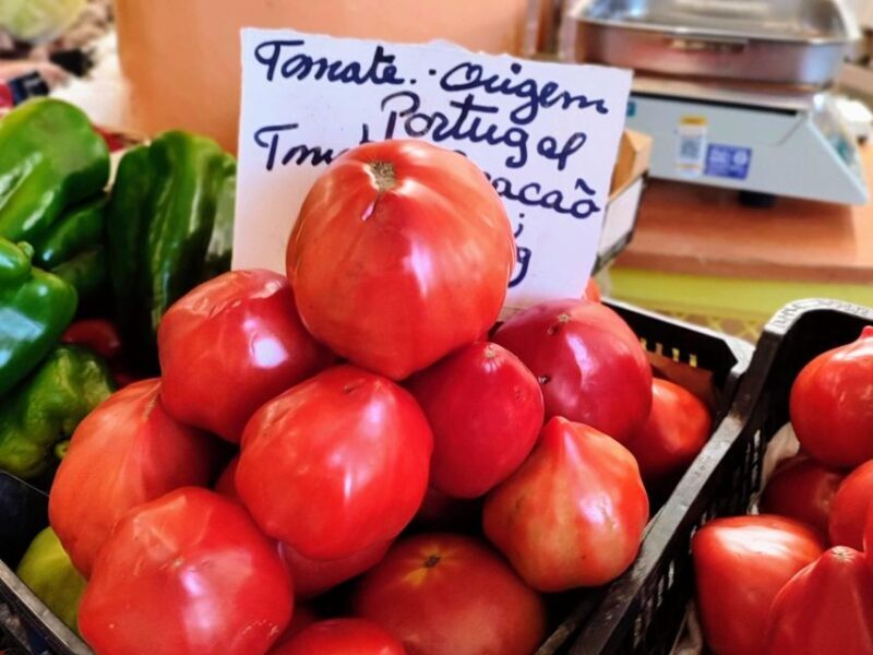 Highlights & Culinary Kickstart of Ericeira | PRIVATE Tour - Final Thoughts: Who Is This Tour For?