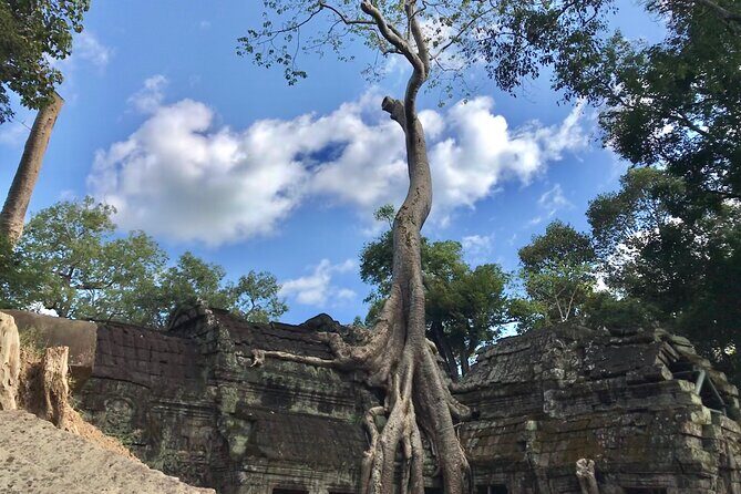 Highlights of Angkor Wat, Ta Prohm & Angkor Thom - An In-Depth Look at the Tour Itinerary