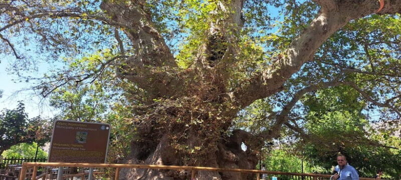 Highlights of Crete-Tour to Knossos Lasithi Rethymno&Chania - FAQ