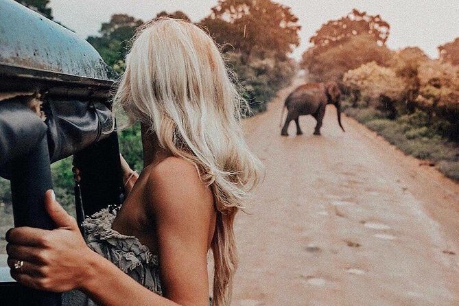 Highlights Of Dambulla & Kaudulla National Park Day Tour From Colombo - Key Points