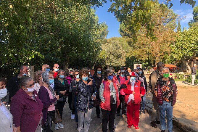 Highlights of Ephesus Tour from Izmir Port / Cruisers only - Key Points