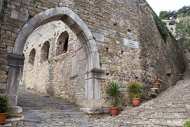 Highlights of Istria Full-Day Photo Tour from Zagreb - The Practicalities That Matter