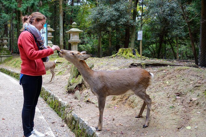Highlights of Japan Tour: 10-day Small Group - A Closer Look at the 10-Day Japan Tour