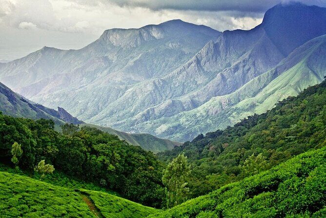 Highlights of Kerala - The Hills of Munnar: Scenic Escape