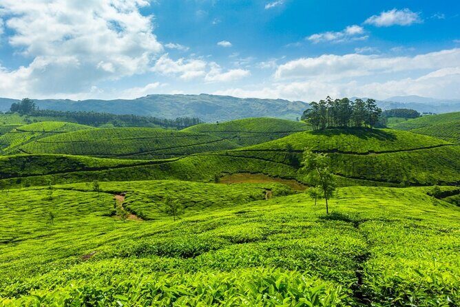 Highlights of Kerala - The Practical Side: Logistics, Value, and Customization