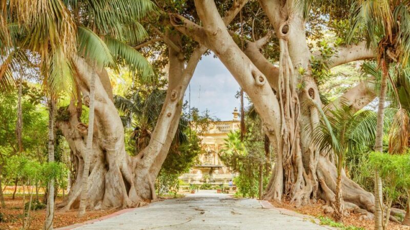 Highlights of Malta Tour:Icons and Experiences of the Island - What Is Included and How Does It Deliver Value?