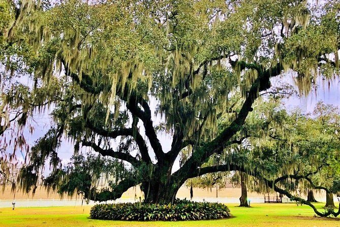 Highlights of New Orleans City and Destrahan Plantation Tour - Authentic Insights from Past Travelers