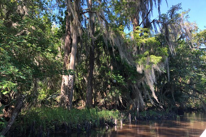 Highlights of New Orleans City and Swamp Tour Combination - In-Depth Review of the Tour Experience