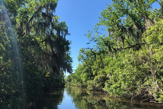 Highlights of New Orleans City and Swamp Tour Combination - Final Thoughts: Who Will Love This Tour?